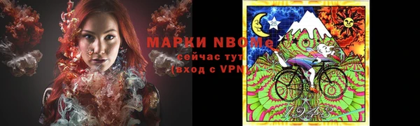 МДПВ Каменка