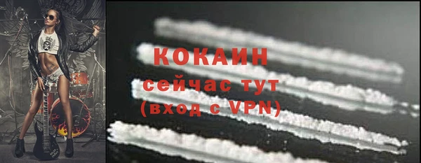 не бодяженный Каменск-Шахтинский