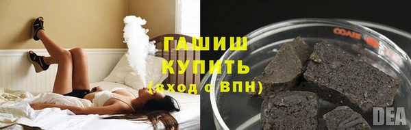 МДПВ Каменка