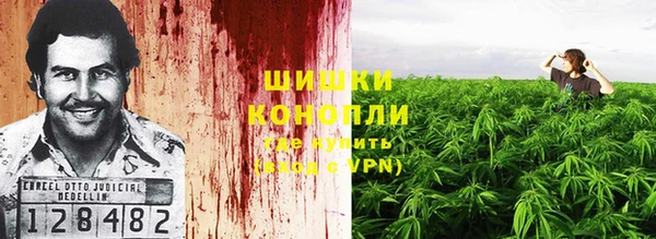 марки nbome Каменногорск