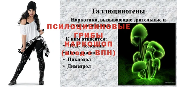 не бодяженный Каменск-Шахтинский