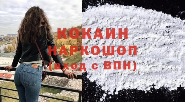 МДПВ Каменка