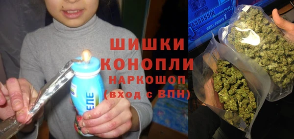 МДПВ Каменка