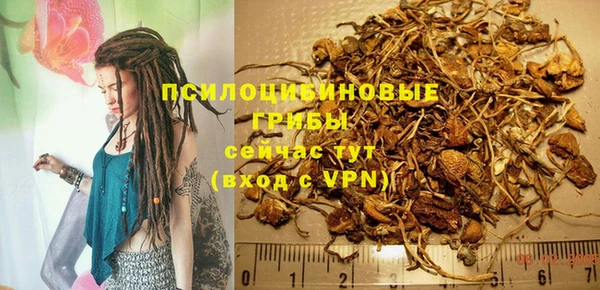 марки nbome Каменногорск