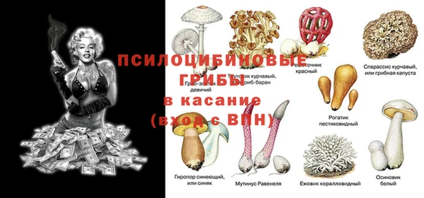 марки nbome Каменногорск