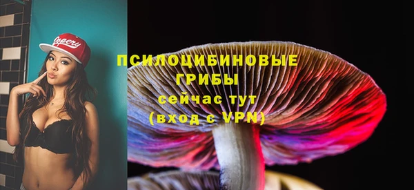 марки nbome Каменногорск