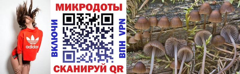 Купить  Среднеуральск  Псилоцибиновые грибы GOLDEN TEACHER 